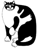 Katina Corp. Cat Logo